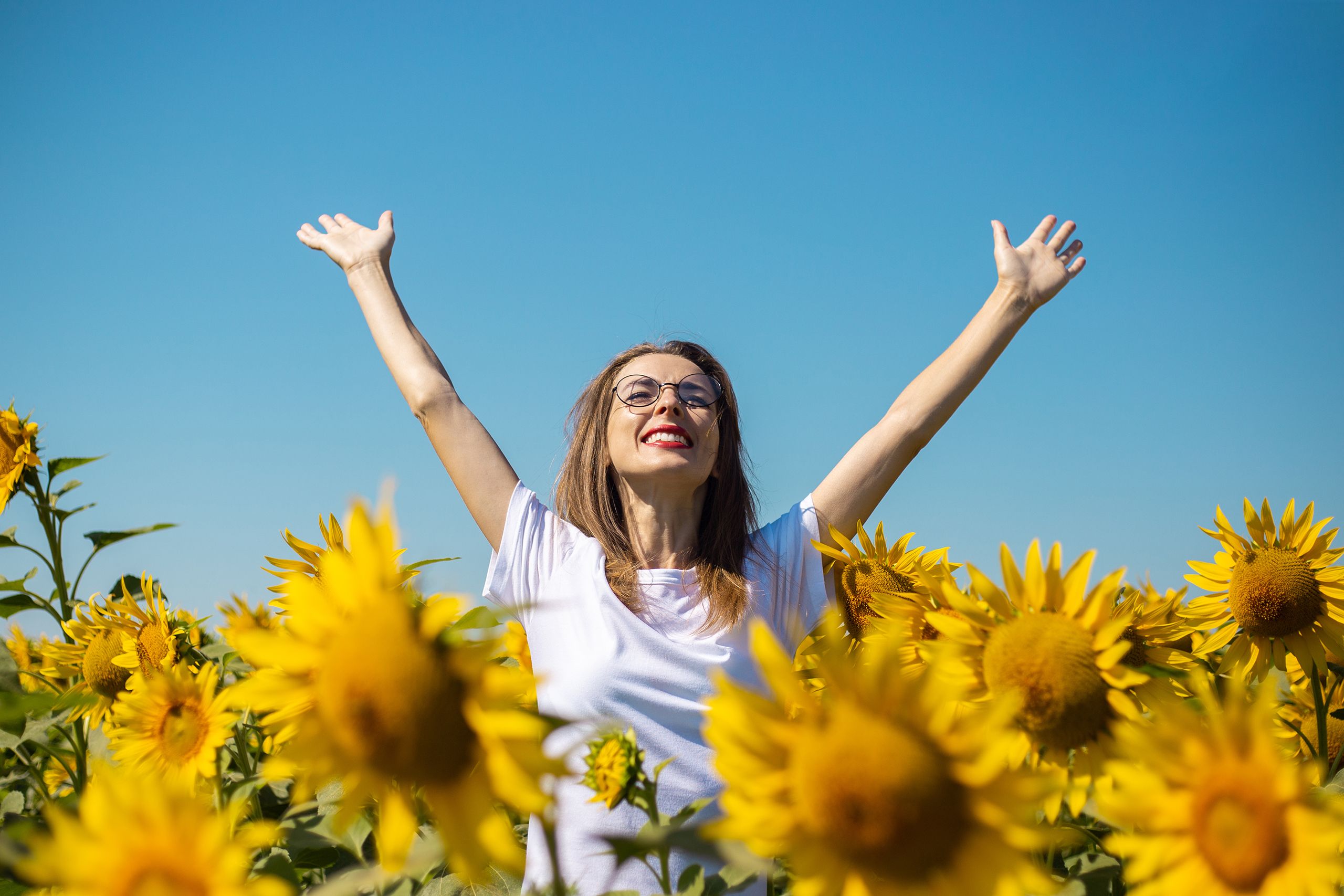 A person standing in a field of sunflowers